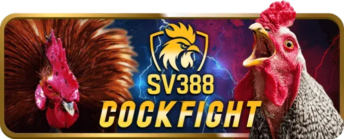 Tiền thưởng nạp lại hàng ngày cho cá cược thể thao K9WIN