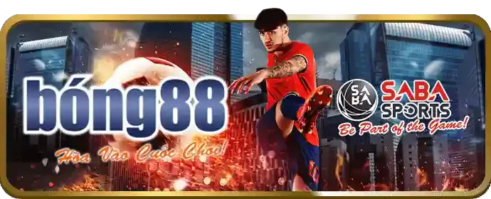 Chương trình VIP K9WIN